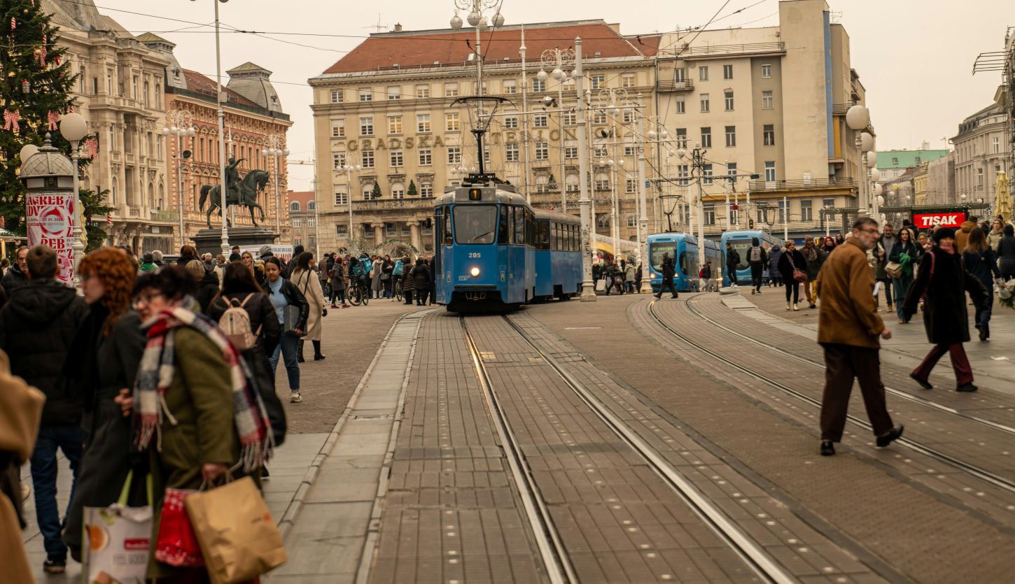 pexels-vladimirsrajber-29789558